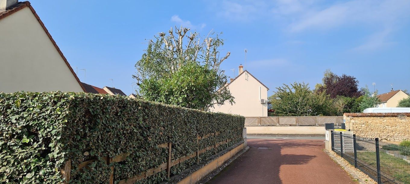 Une haie taillée et une maison