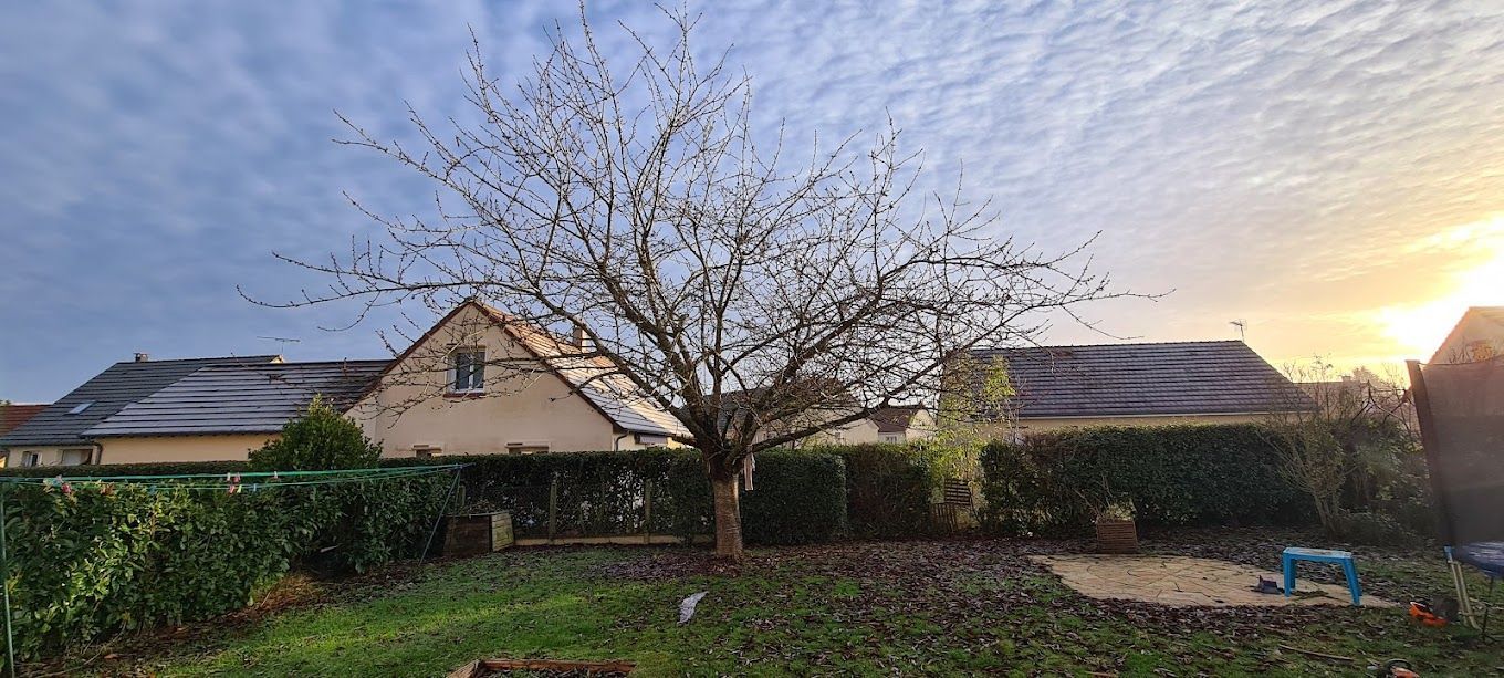 Un arbre avant un élagage