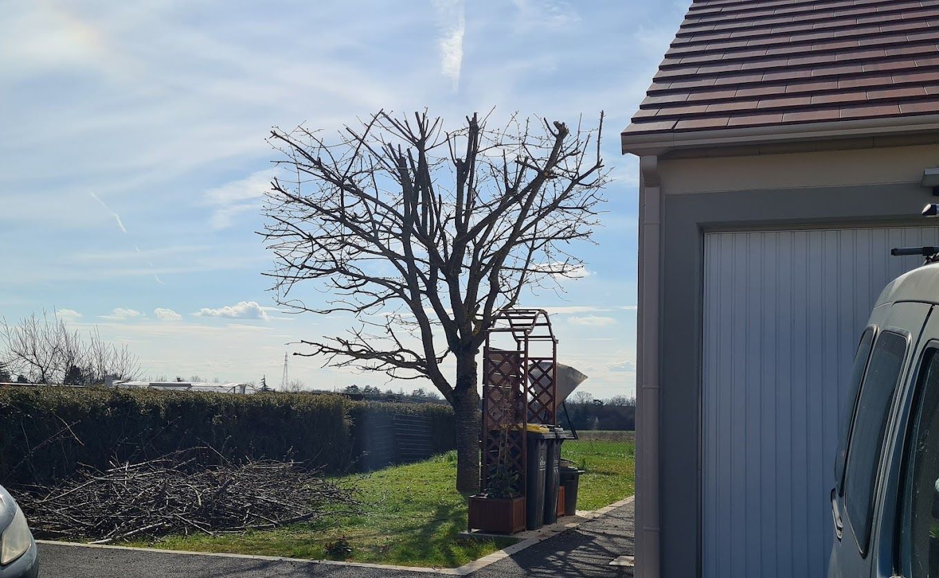 Des travaux d'abattage