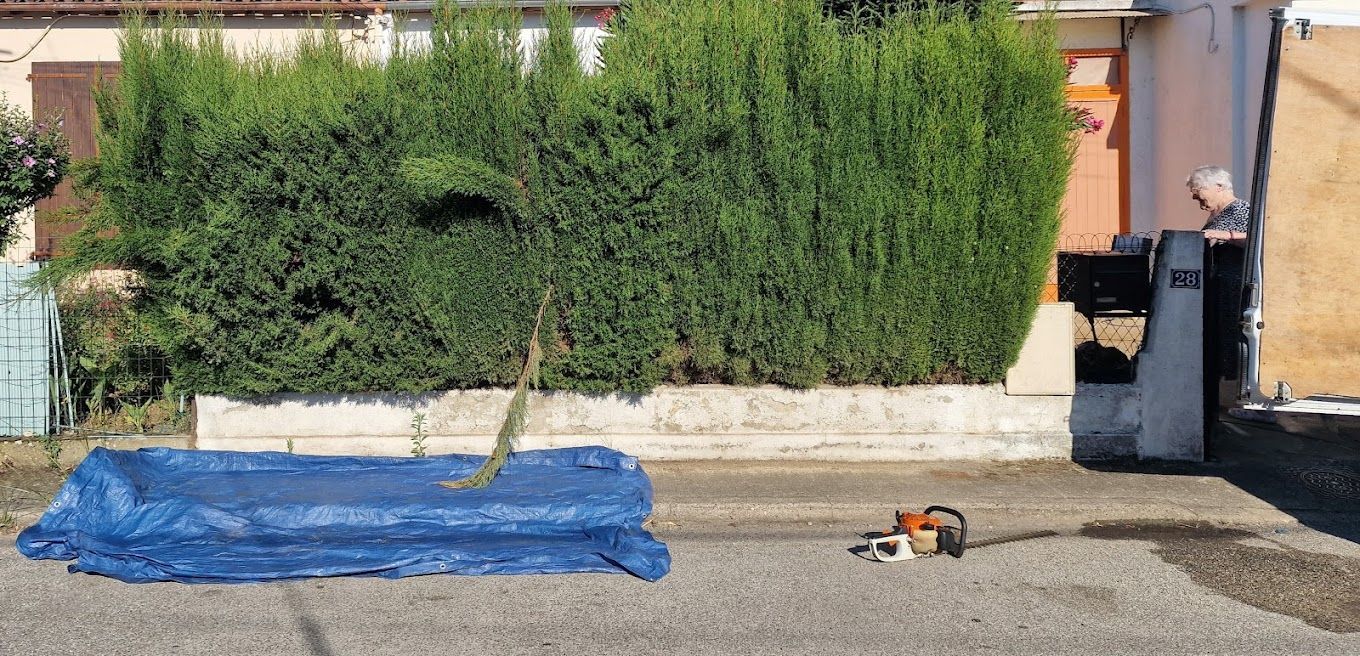Une haie et une bâche bleue