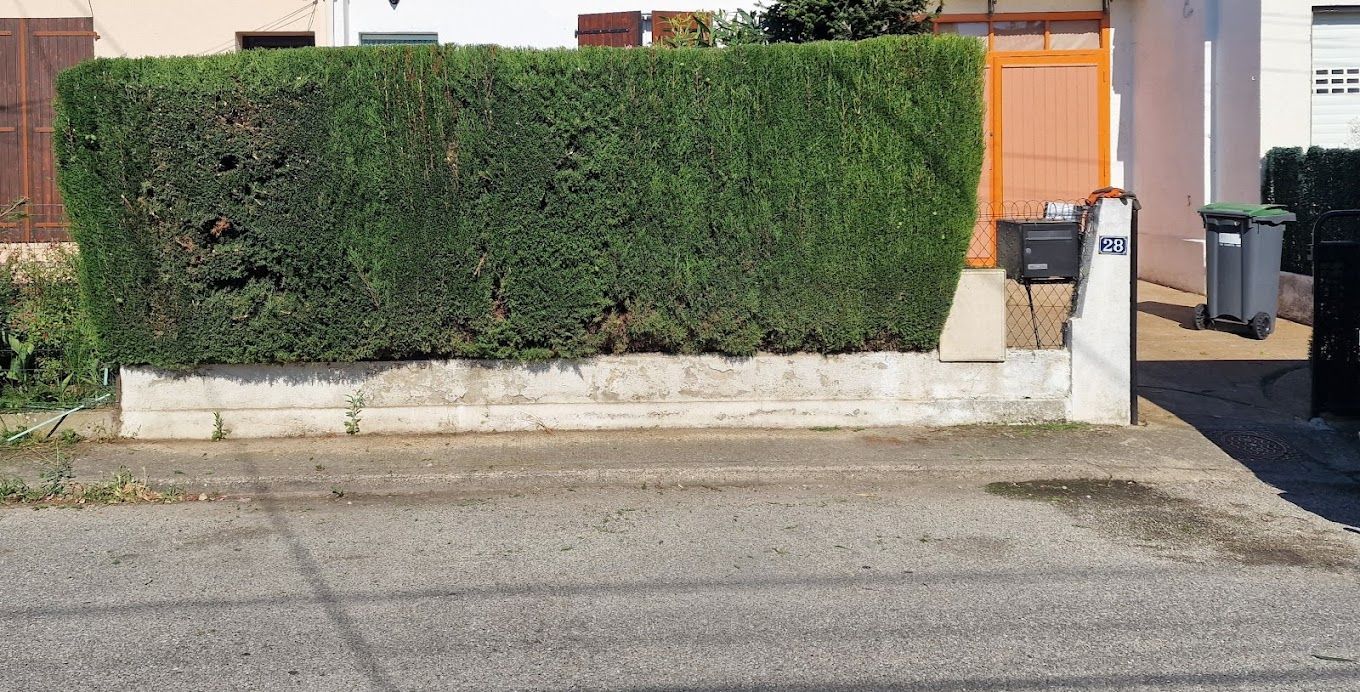 Une haie taillée