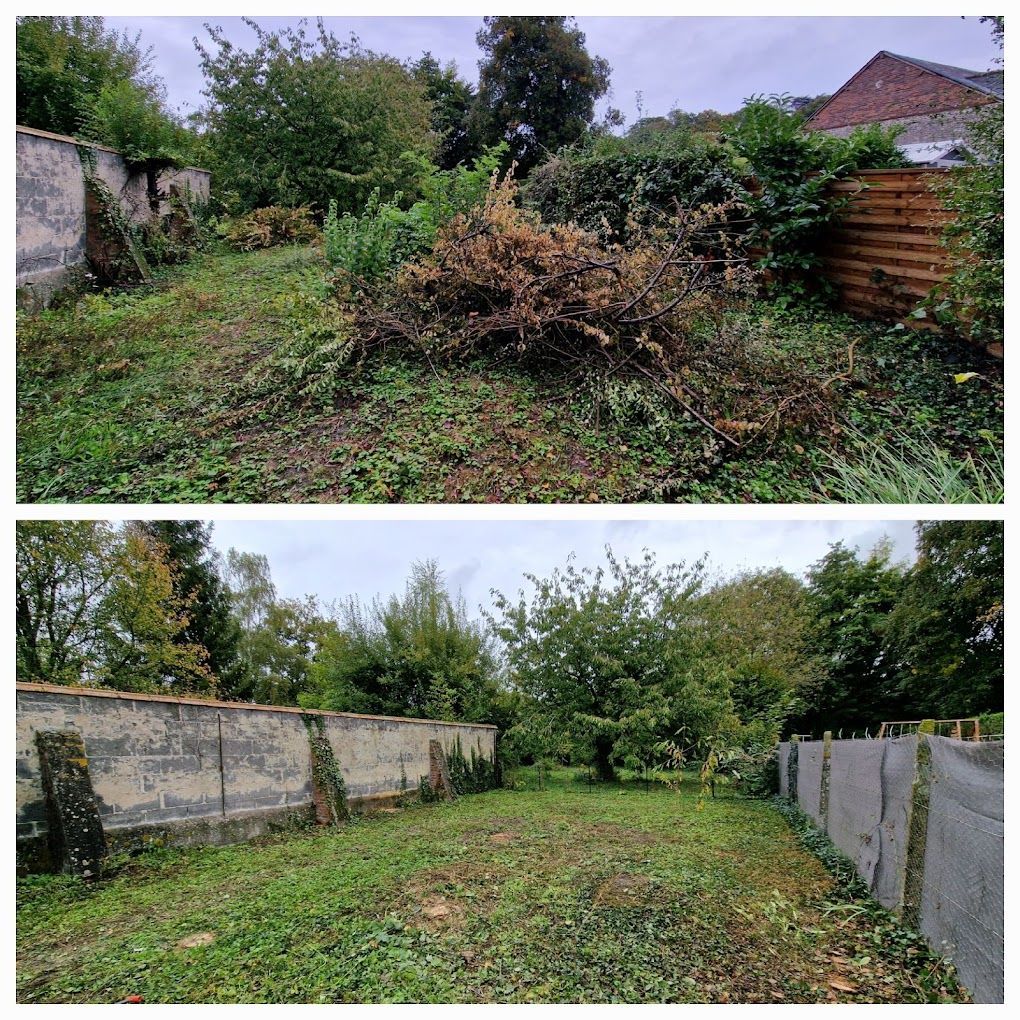 Des travaux d'abattage avant/après