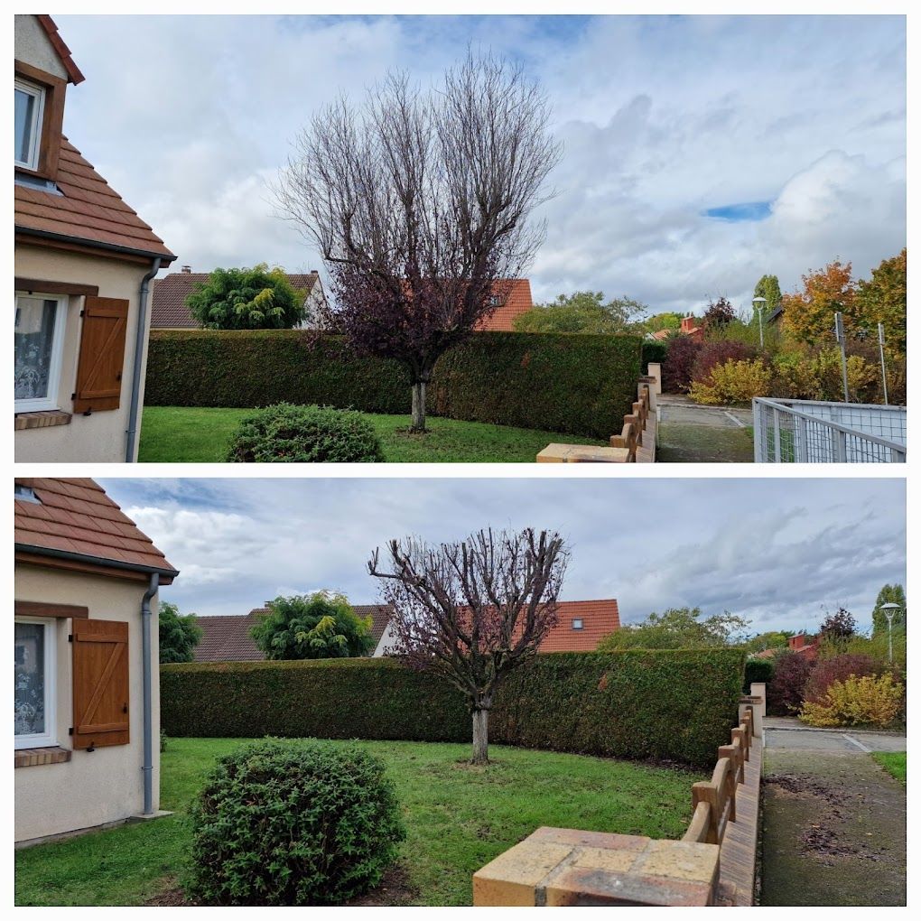 Avant/Après des travaux dans un jardin