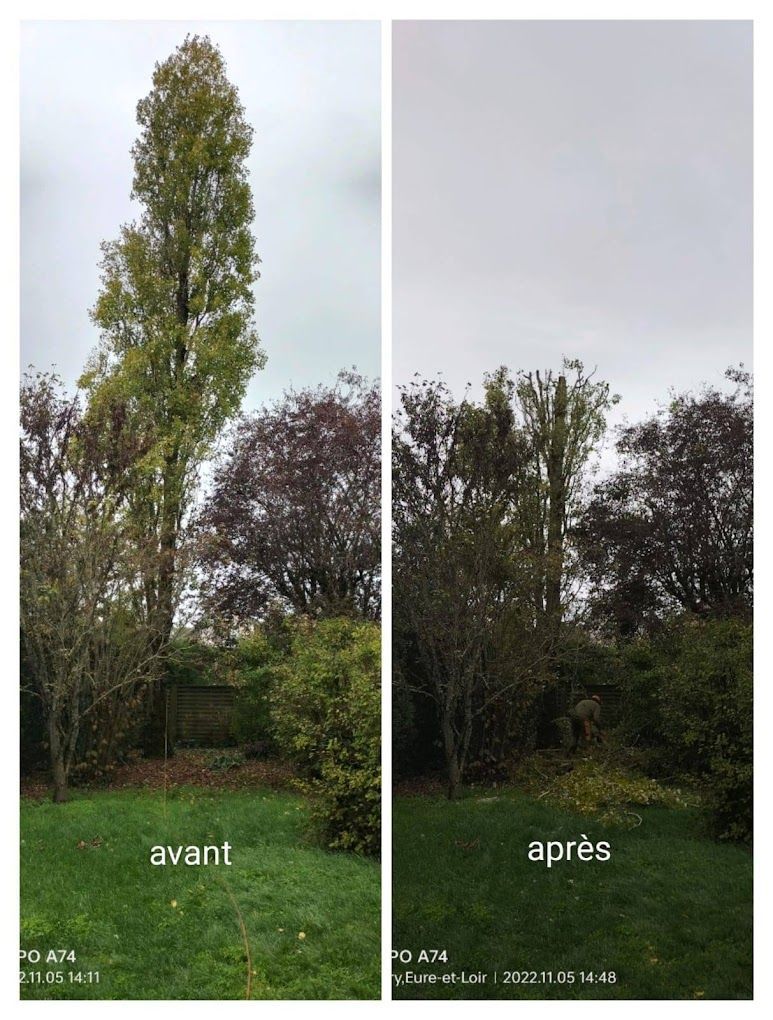 Des travaux d'élagage avant/après