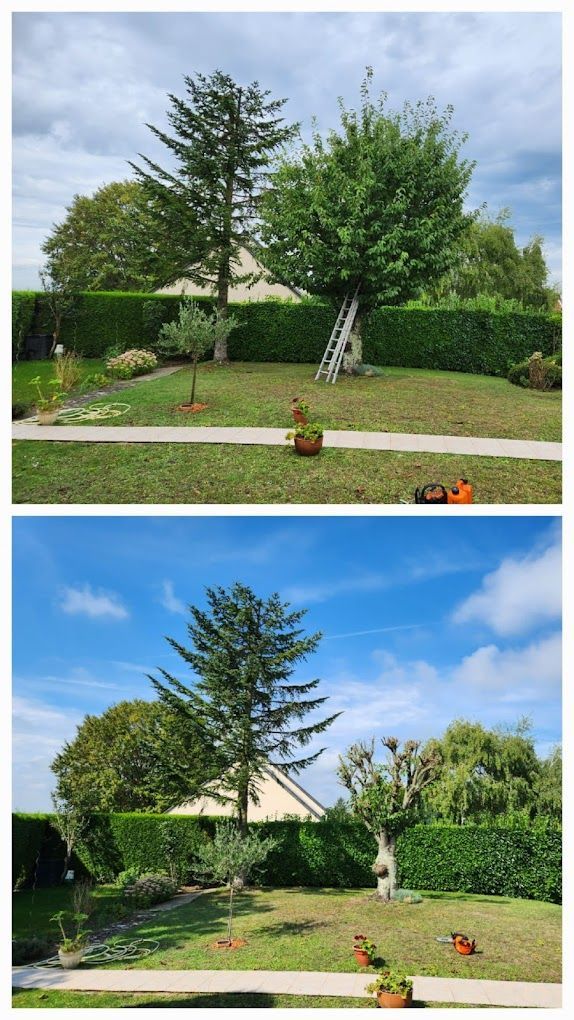Avant/Après élagage et abattage