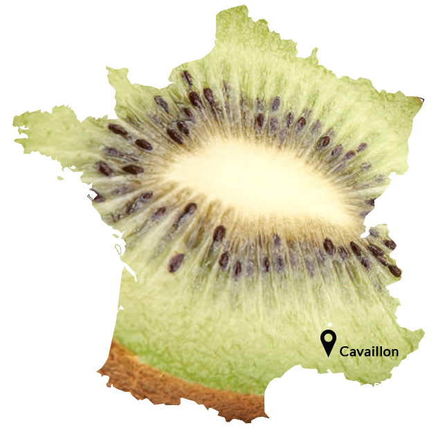 France avec une tranche de Kiwi.