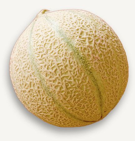 Un melon.