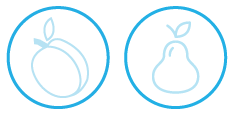 Abricot et poire dans deux cercles bleus.