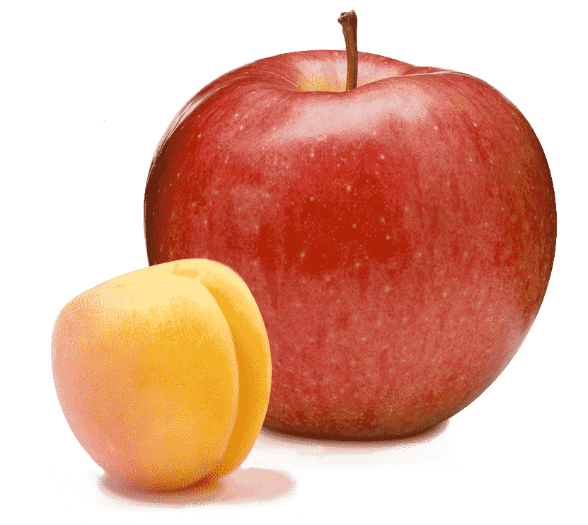 Un abricot et une pomme.