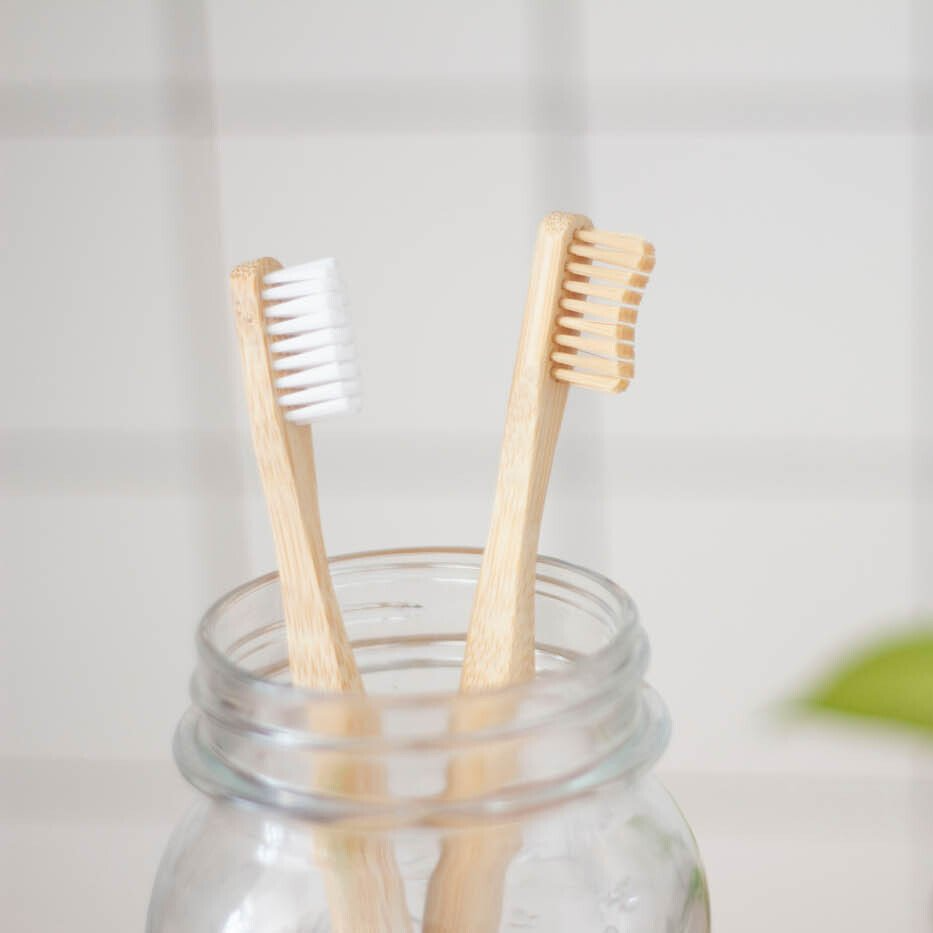 Deux brosses à dents dans un bocal en verre