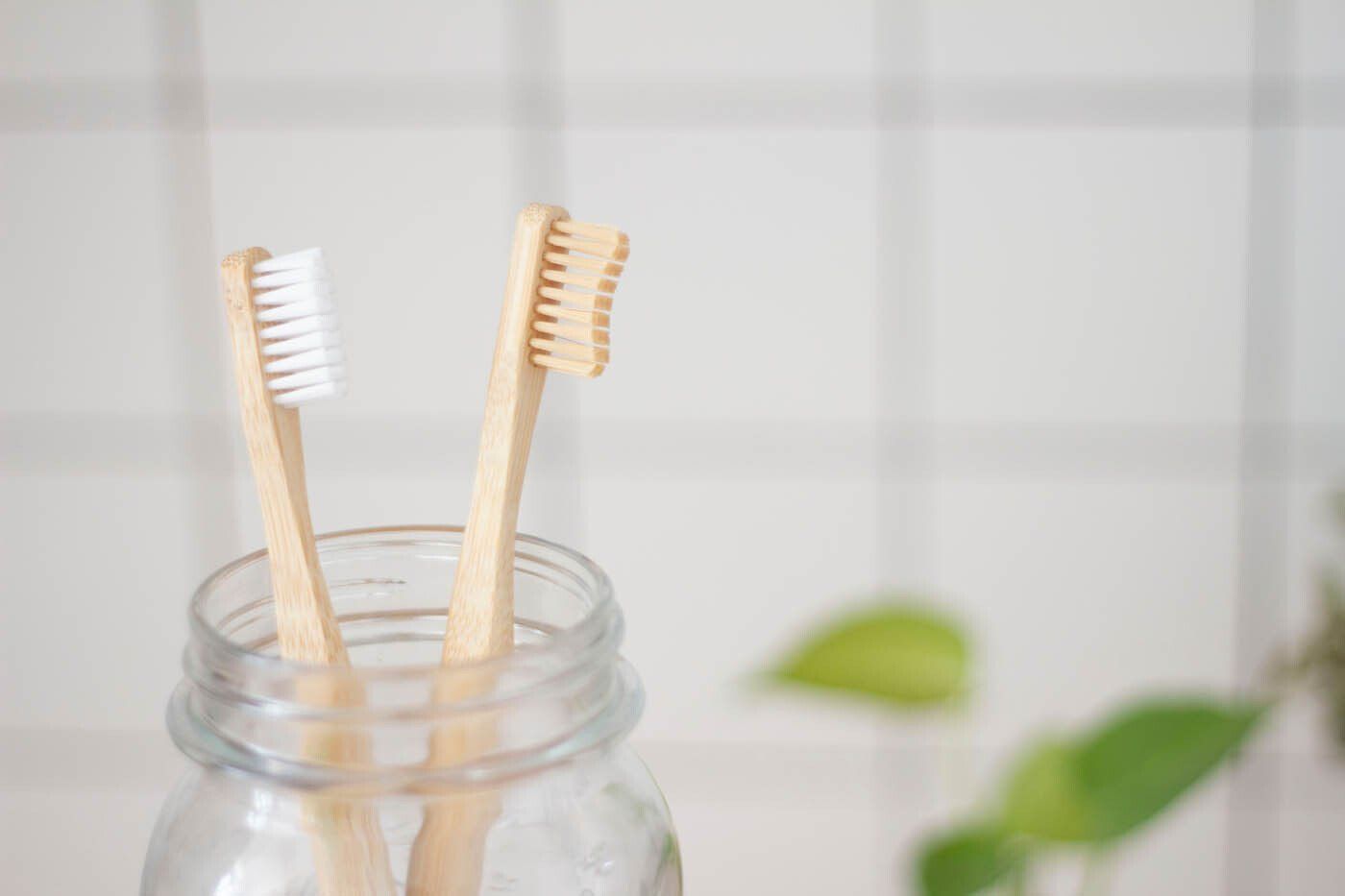 Deux brosses à dents dans un bocal en verre