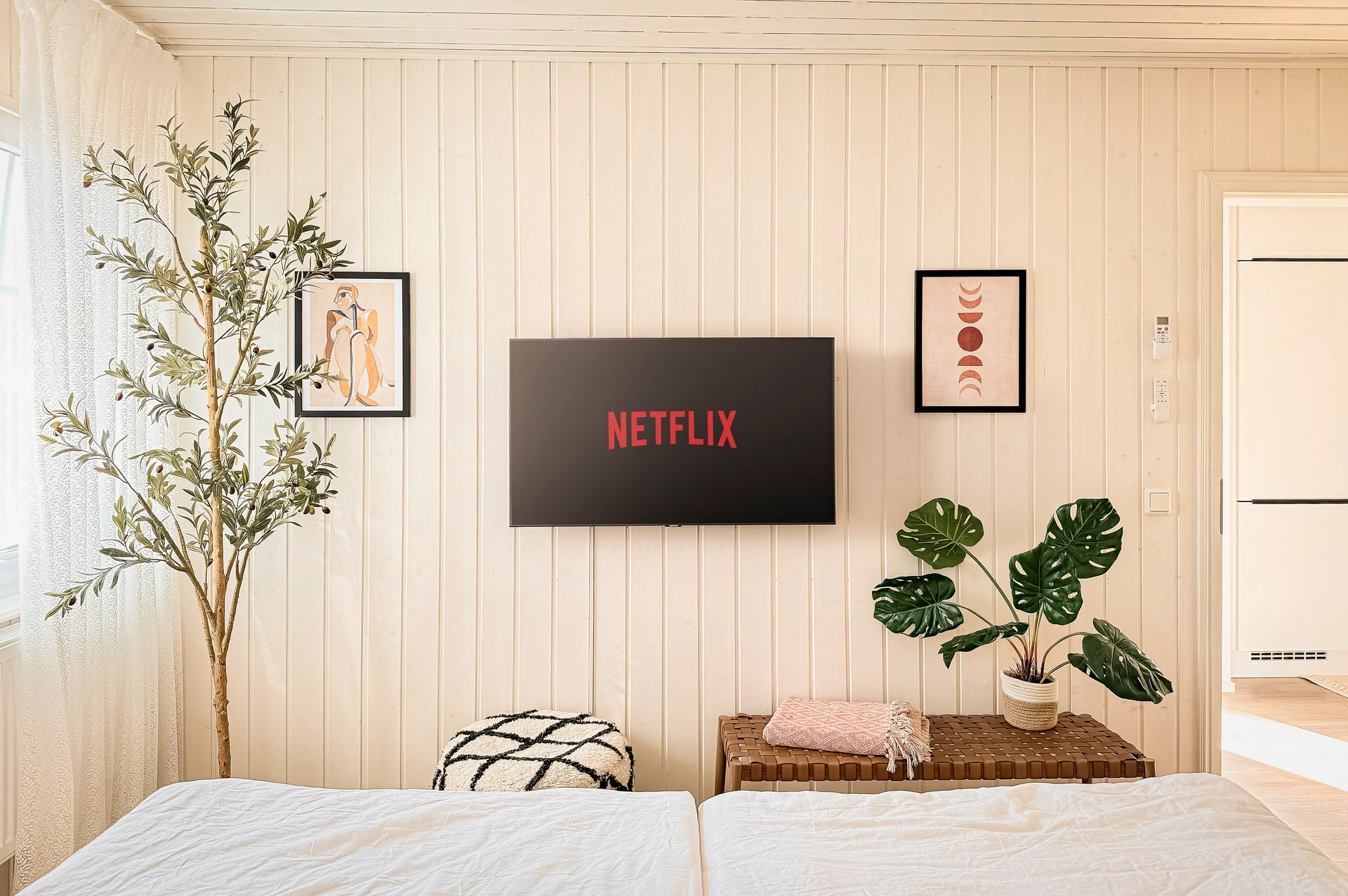 Bedroom with a TV, a plant and a bright wall