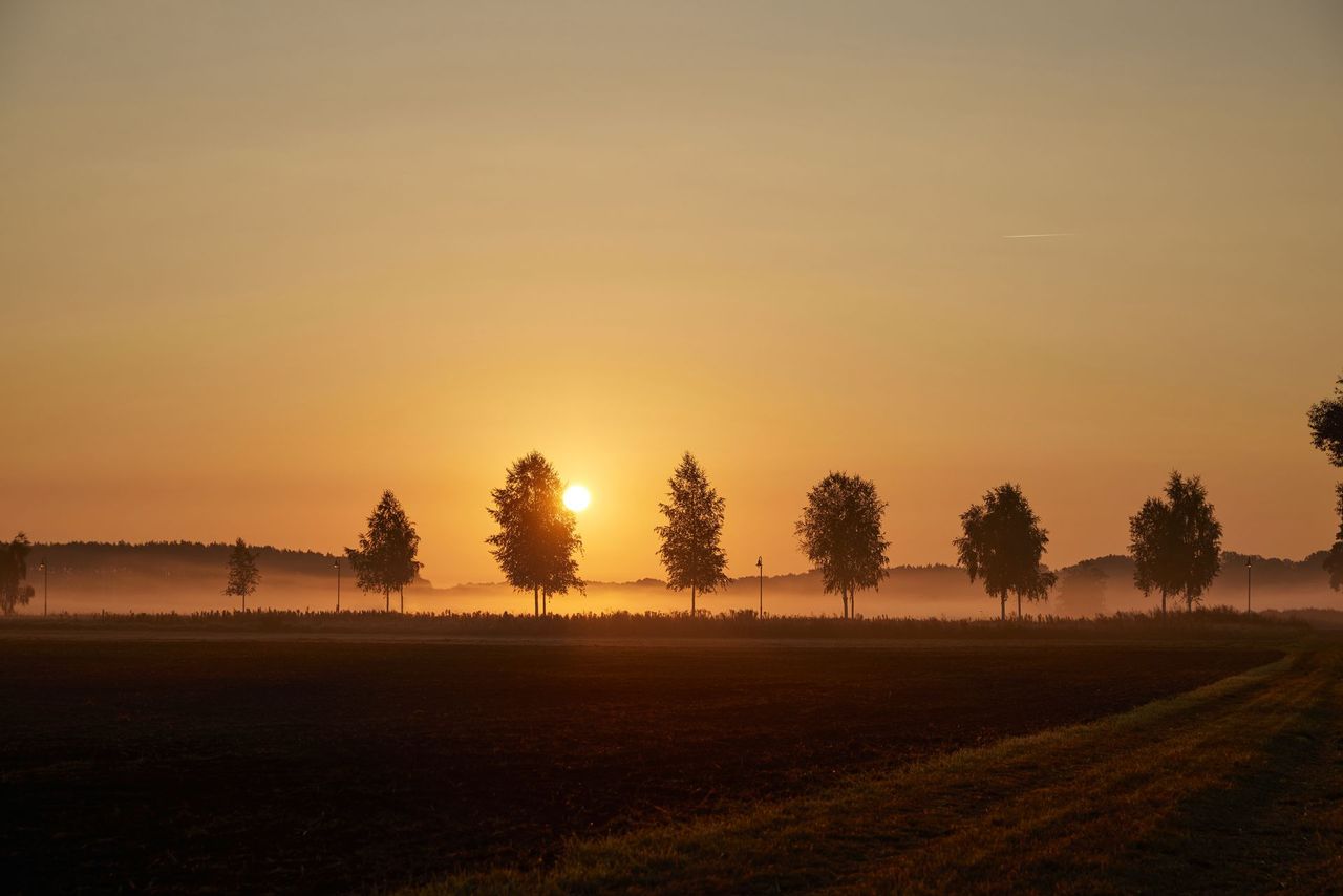 Morning fog over the fields at sunrise