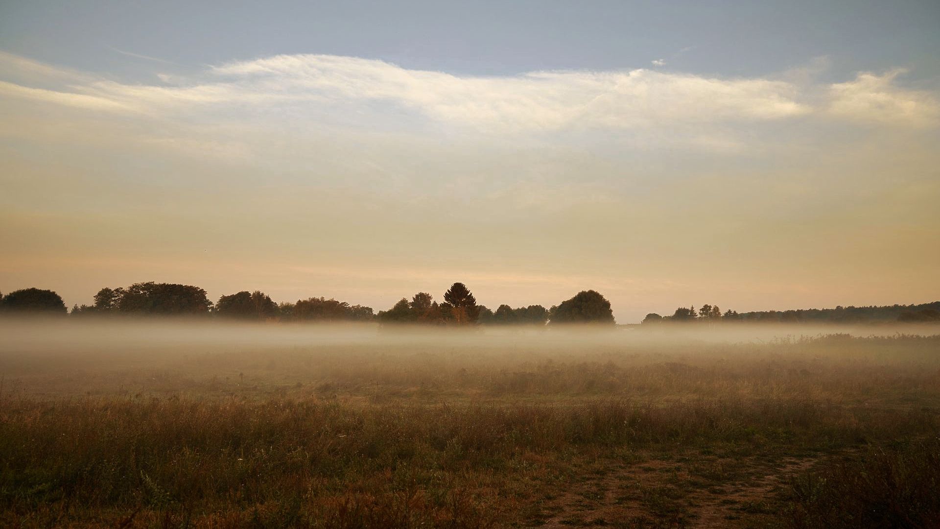 Morning fog over the fields near the village