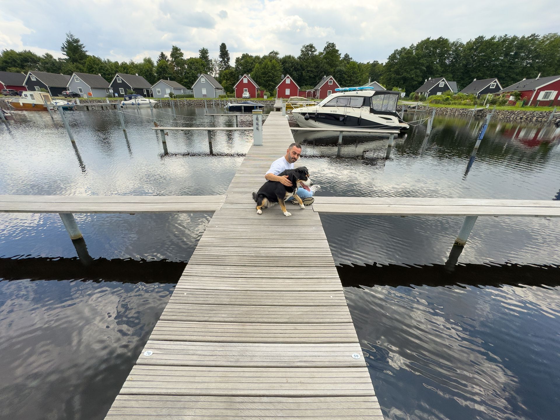 Dog on a wooden jetty at the harbour