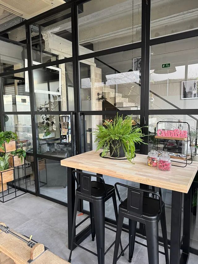 Hay una mesa con una planta en el medio de la habitación.