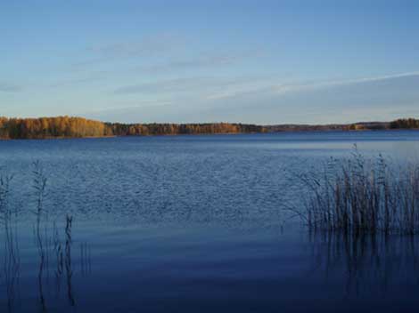 Traktoriurakointi Pekka Kemppi
