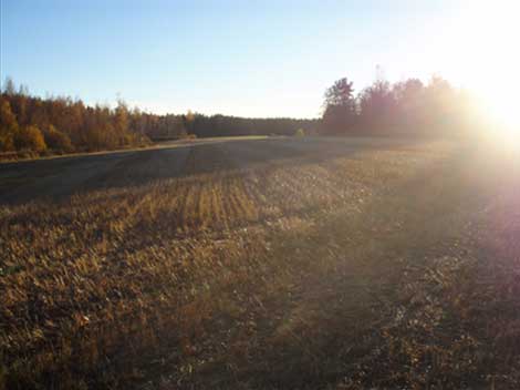 Traktoriurakointi Pekka Kemppi