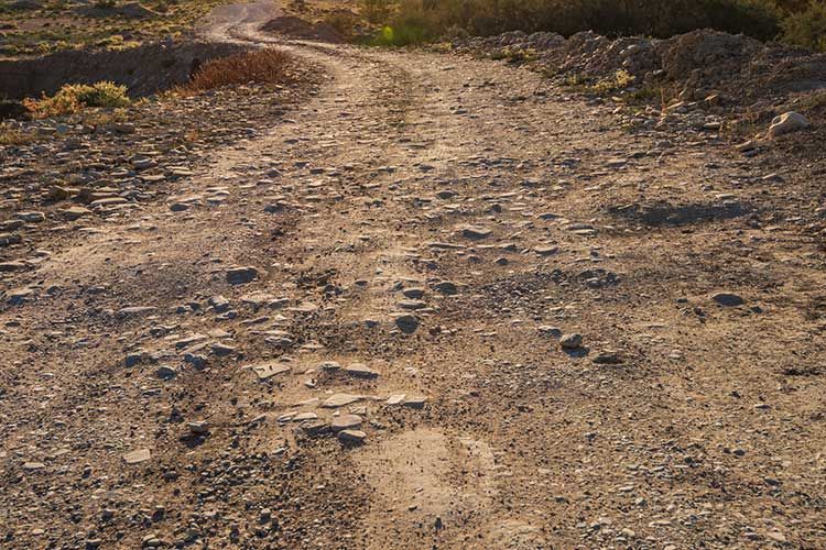 Un sol pierreux inégal