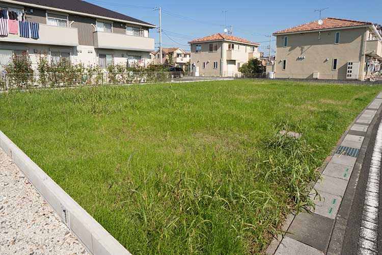 Terrain vierge herbu