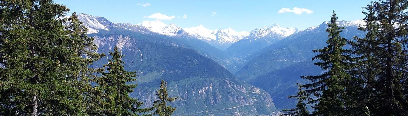 Blick auf eine Bergkette mit Bäumen im Vordergrund