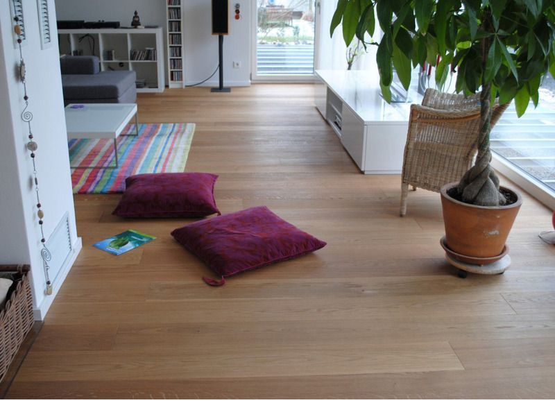 Ein Wohnzimmer mit lila Kissen und einer Topfpflanze