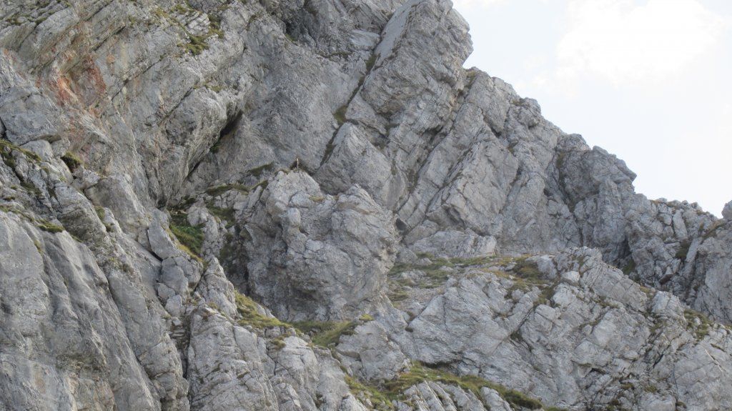 Beispiel Handwerk GmbH