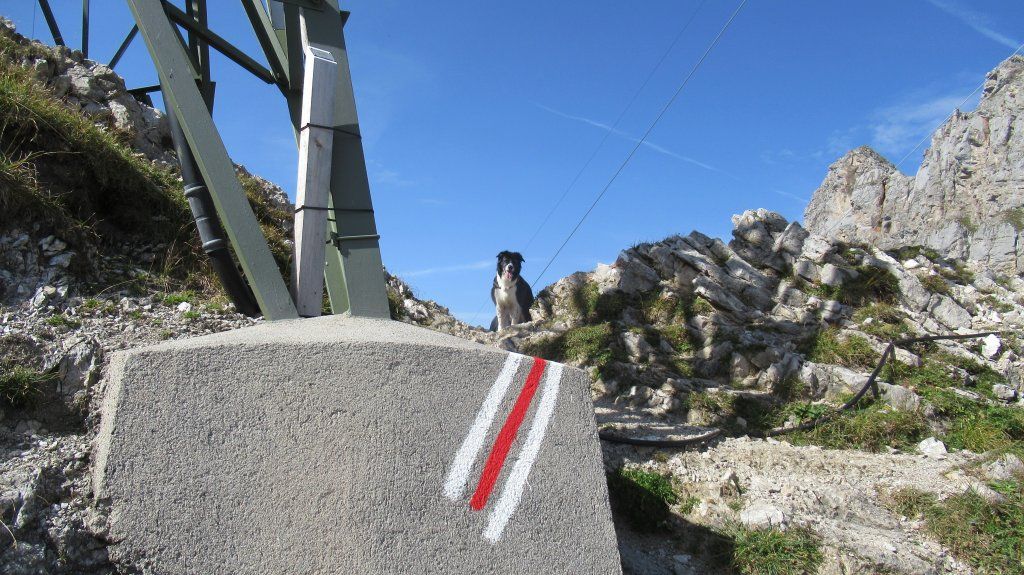 Beispiel Handwerk GmbH