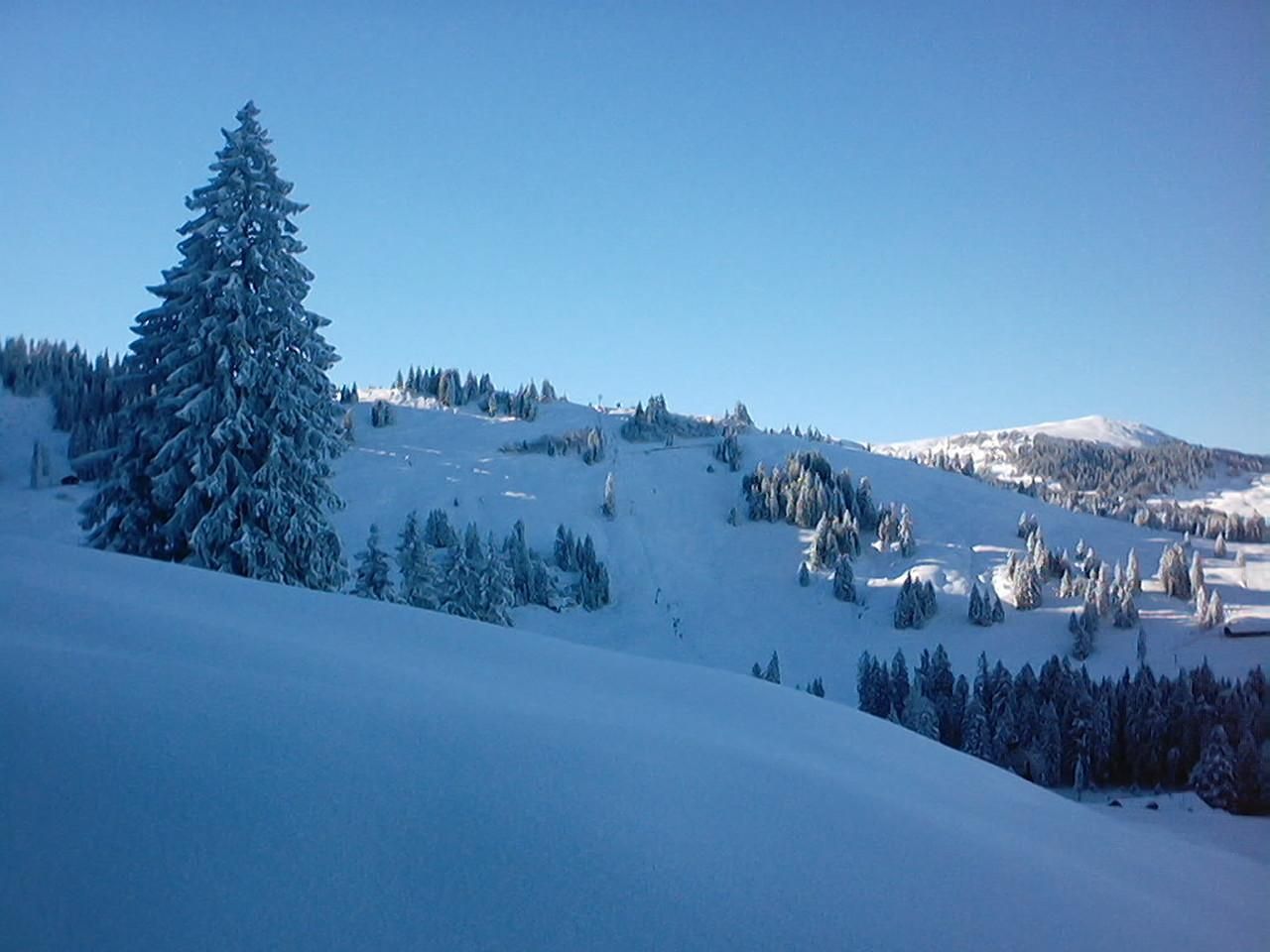 Beispiel Handwerk GmbH