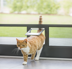 Tür mit Insektenschutz