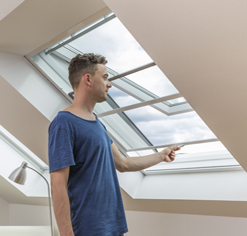 Fenster mit Insektenschutz