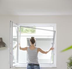 Fenster mit Insektenschutz