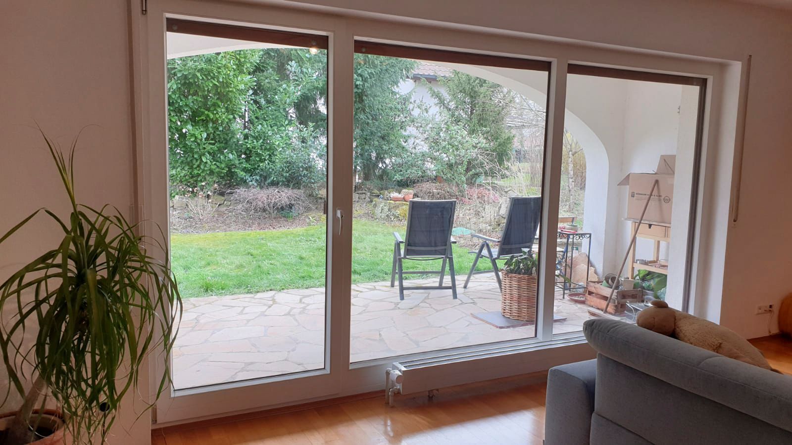 Ein Wohnzimmer mit einer Couch, Stühlen und einer Topfpflanze.