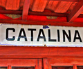logotipo cabecera