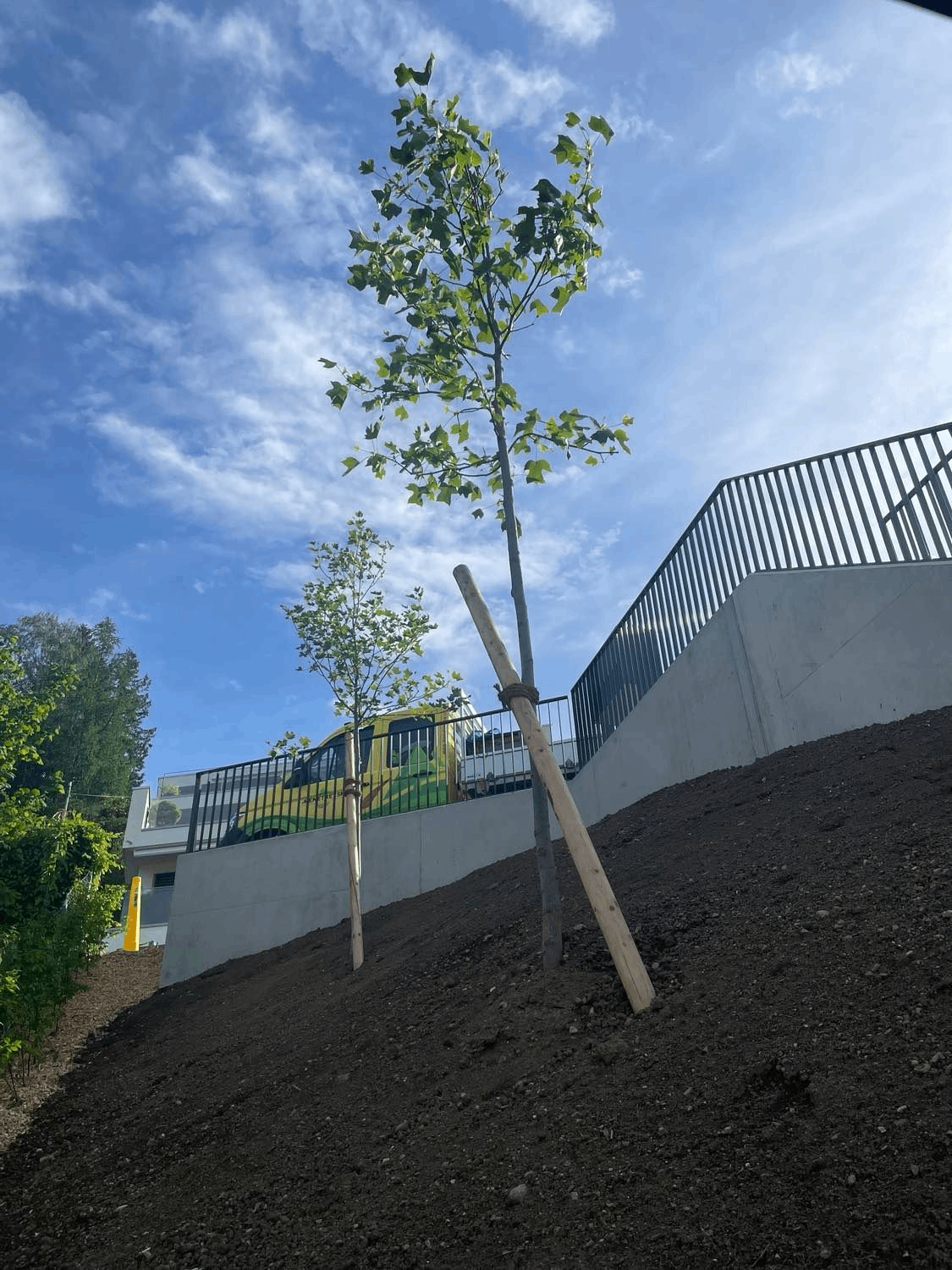 Amélie Haettel  |  Vouvry