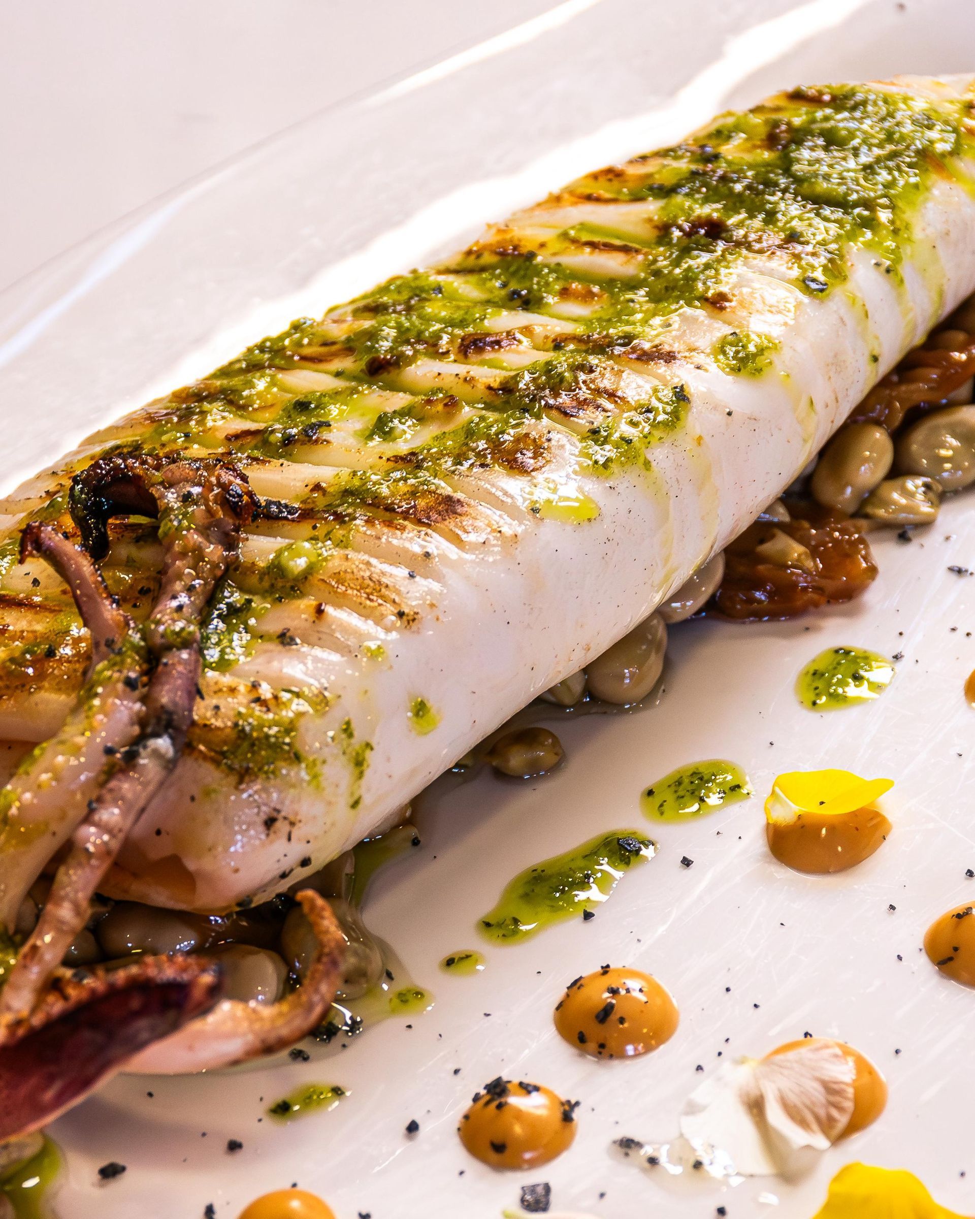 Una persona sostiene un plato de comida con calamares y verduras.