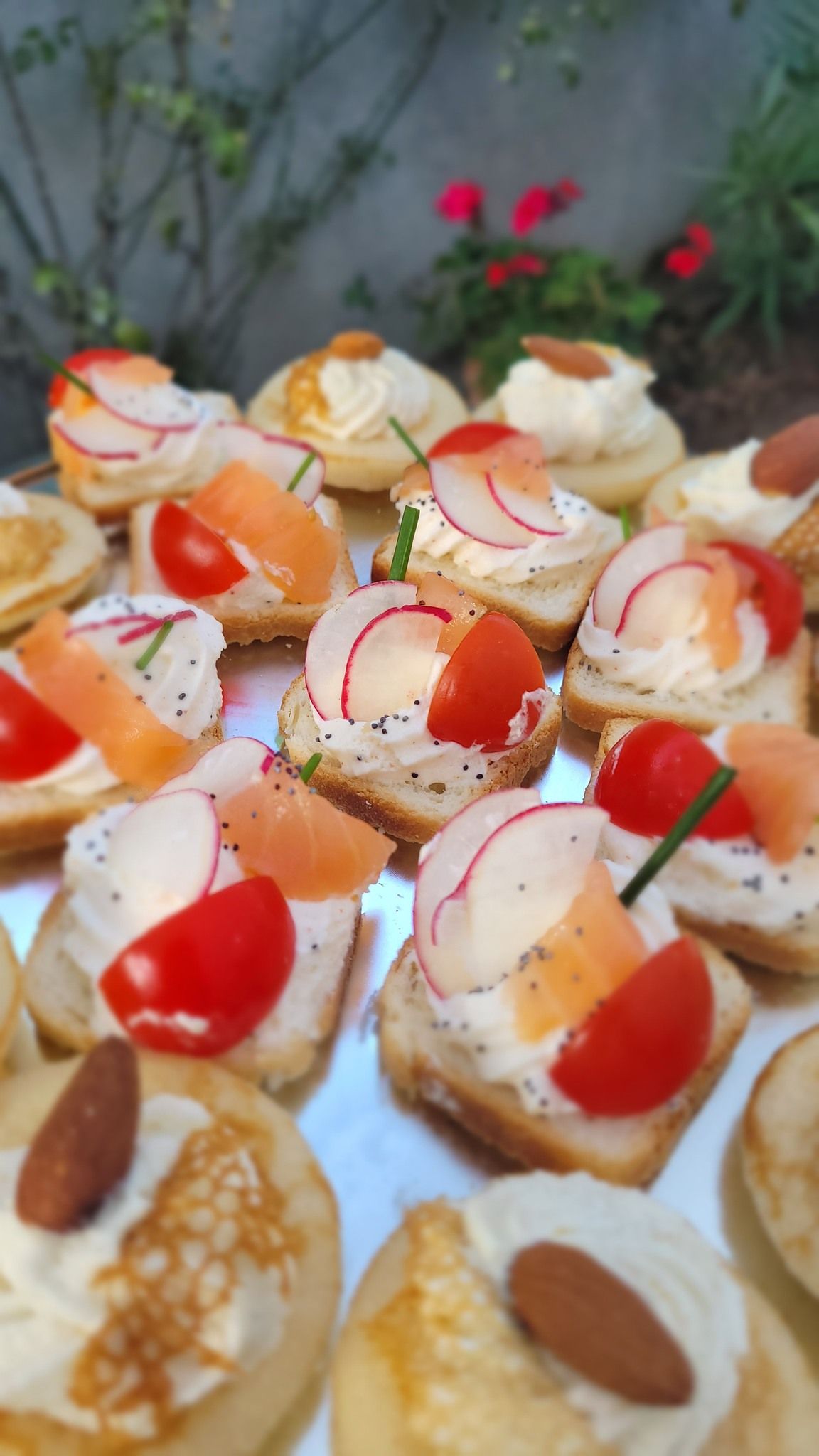 Toasts au saumon, tomate et radis