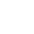 Icon Detektei