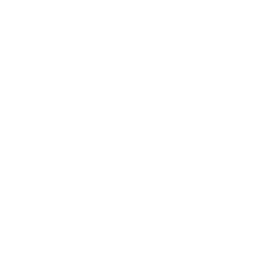 Icon Detektiv
