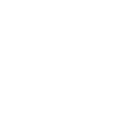 Icon Detektiv