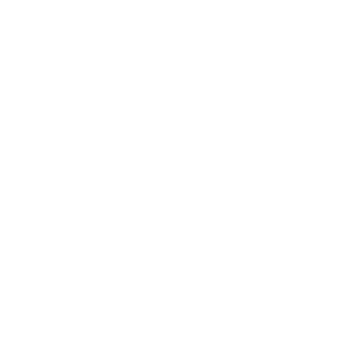 Icon Detektiv