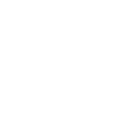 Icon Detektei
