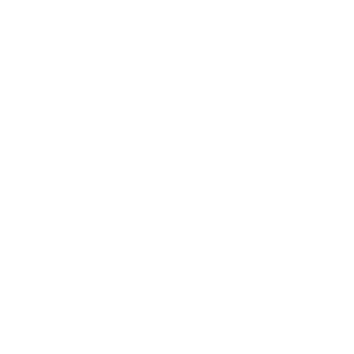 Icon Detektiv