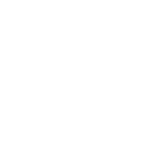Icon Detektiv