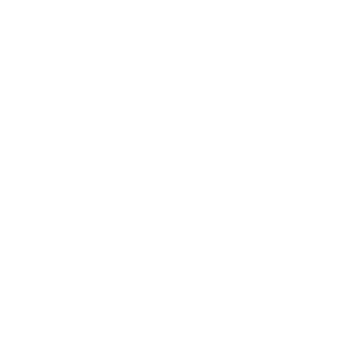 Icon Detektiv