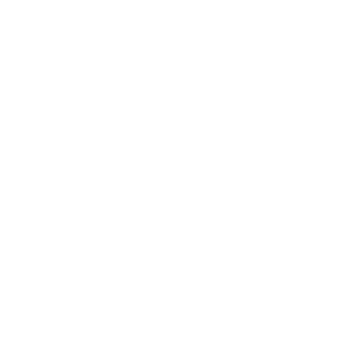 Icon Detektiv