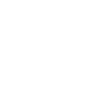 Icon Detektiv