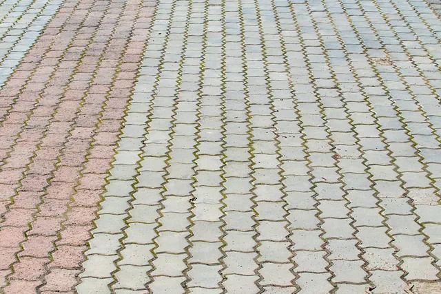 Un primer plano de una pasarela de ladrillos con un patrón diagonal.