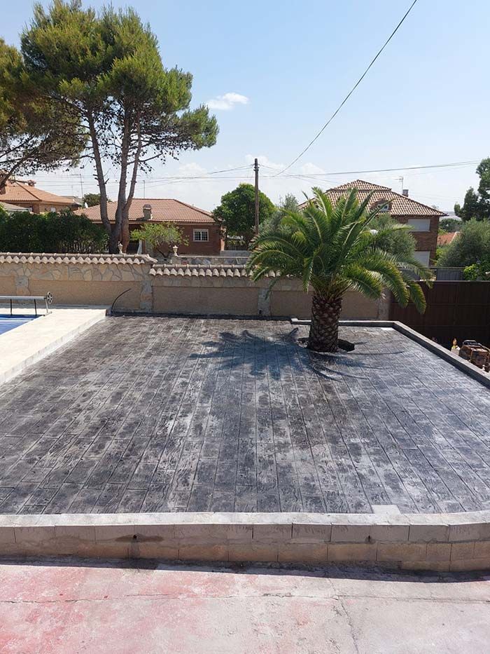 Palmera que crece sobre un techo plano y oscuro, con una piscina y casas al fondo en un día soleado.