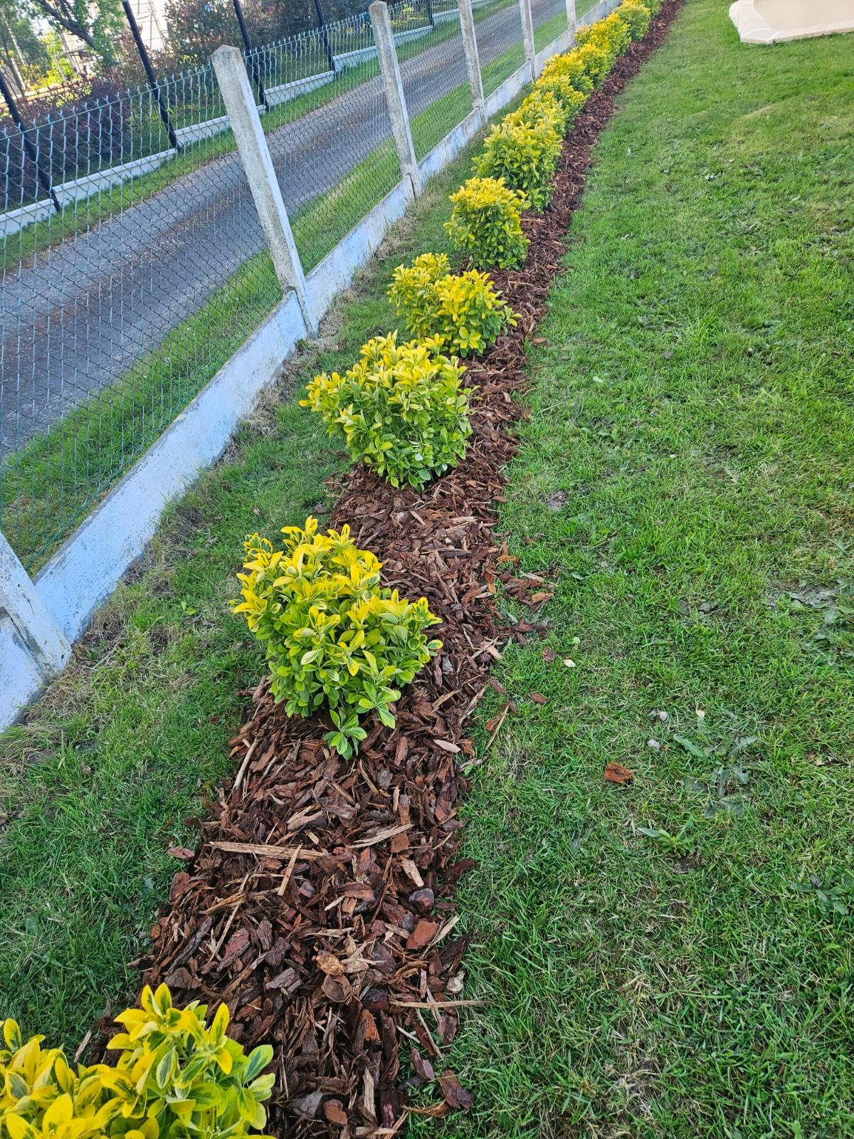 Tonte et remise en état d'un jardin